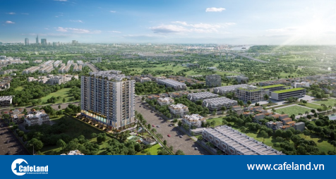 Duplex Ricca quận 9 – “hàng hiếm” được gia đình trẻ thành đạt săn đón – CafeLand.Vn