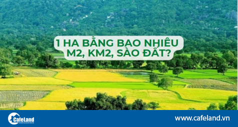 1 hecta bằng bao nhiêu m2, km2, sào đất? - CafeLand.Vn