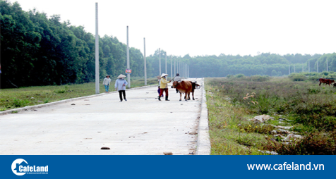 Read more about the article Ngăn chặn phân lô, bán nền đất nông nghiệp