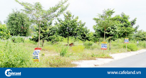 Read more about the article Bà Rịa – Vũng Tàu: Tăng cường công tác quản lý để ngăn chặn “sốt đất ảo”