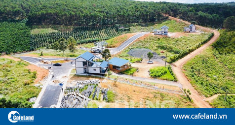 Read more about the article UBND tỉnh Lâm Đồng ‘’lệnh’’ kiểm tra, xử lý thông tin dự án ‘’ma’’, phá rừng tại Bảo Lâm