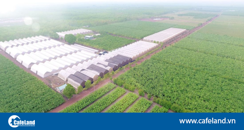 Read more about the article Quảng Ninh sẽ có khu nông nghiệp công nghệ cao 106ha