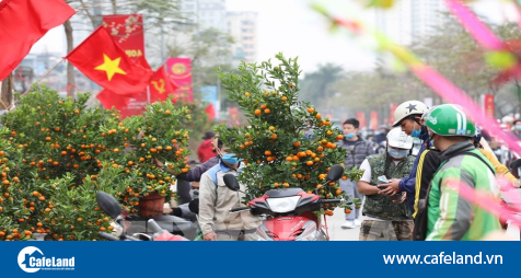 Read more about the article Hà Nội: Miễn phí thuê mặt bằng đối với các hộ bán hoa, cây cảnh dịp Tết