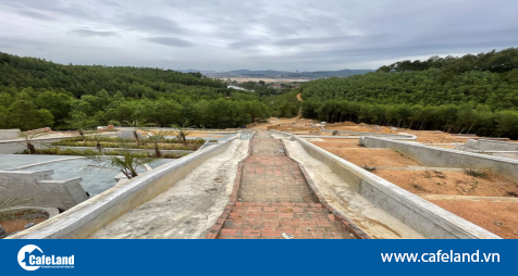 Read more about the article Quảng Ninh: Ngang nhiên san gạt đất rừng để xây nghĩa trang trái phép
