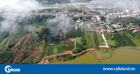Read more about the article Lâm Đồng cho phép lập quy hoạch khu vực 1.000 ha tại 2 huyện có cao tốc Dầu Giây – Liên Khương đi qua