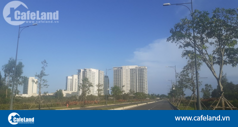 Read more about the article “Ông lớn” bất động sản nêu lý do đầu tư các dự án quy mô lớn tại vùng Đông Quảng Nam