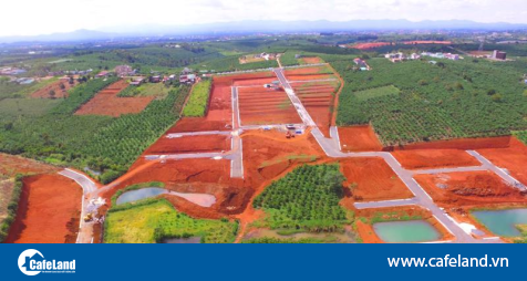 Read more about the article Lâm Đồng: Xử lý việc hiến đất làm đường để phân lô tách thửa đất