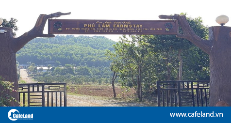 Read more about the article Phúc Yên (Vĩnh Phúc): Sẽ cưỡng chế khu du lịch sinh thái xây dựng trên đất rừng