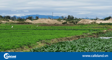 Read more about the article Đà Nẵng: Để tránh sập bẫy ‘cò’ chuyển mục đích đất nông nghiệp sang đất ở, người dân cần biết thông tin này!