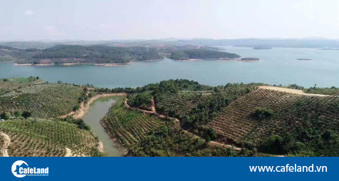 Read more about the article Dừng xem xét việc chấp thuận dự án Khu đô thị Nam sông Đa Nhim do FLC đề xuất tại Lâm Đồng