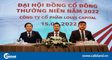 Read more about the article Louis Capital chuyển mình mạnh mẽ từ khi gia nhập Louis Holdings