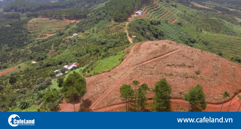 Read more about the article Phá rừng để chiếm đất do… giá đất tăng cao