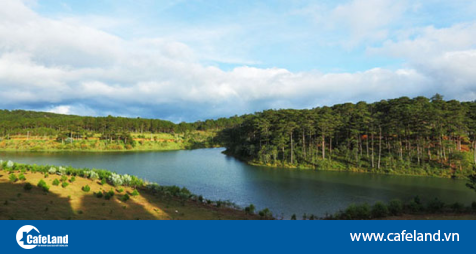 Read more about the article Lâm Đồng bất ngờ tạm dừng nhận hồ sơ thuê môi rừng để kinh doanh du lịch sinh thái, nghỉ dưỡng, giải trí