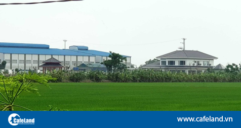 Read more about the article Biệt thự xây dựng trên đất nông nghiệp ở Hải Dương: Buộc phải tháo dỡ?