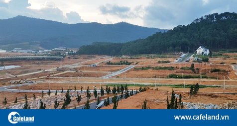 Read more about the article Hé lộ nhà đầu tư dự án khu dân cư hơn 500 tỷ đồng tại huyện Di Linh, tỉnh Lâm Đồng