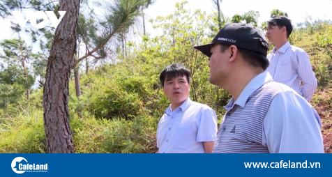 Read more about the article Hàng trăm ha đất trồng rừng bỏ hoang khiến người dân lao đao