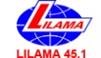 Công ty Cổ phần Lilama 45.1