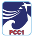 Công ty cổ phần xây lắp điện I - PCC1