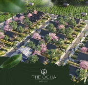 The Ocha: Dự án biệt thự nghỉ dưỡng tại Lâm Đồng