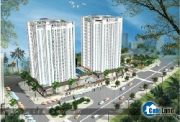 "Đại Cát - Đại Tài" với Long Phụng Apartment