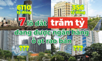 7 lô đất trăm, nghìn tỷ đang được các ngân hàng ồ ạt rao bán