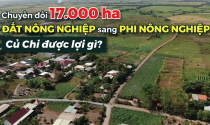 Chuyển đổi 17.000 ha đất nông nghiệp sang phi nông nghiệp, Củ Chi được lợi gì?