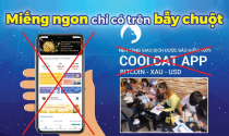 COOLCAT: Từ đầu tư siêu lợi nhuận đến những cạm bẫy chết người