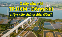 3 cây cầu Phước Khánh, Cát Lái, Nhơn Trạch nối TP.HCM - Đồng Nai hiện xây dựng đến đâu?