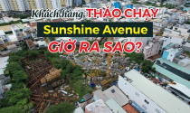 Từng bị khách hàng thanh lý hợp đồng vì chậm tiến độ, dự án Sunshine Avenue giờ ra sao?