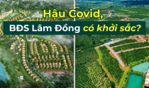 Loạt ông lớn ồ ạt đổ bộ, tương lai bất động sản Lâm Đồng về đâu?