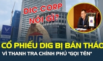 Cổ phiếu DIG bị bán tháo vì Thanh tra Chính phủ "gọi tên", lãnh đạo DIC Corp nói gì?