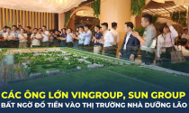 Các ông lớn Vingroup, Sun Group bất ngờ đổ tiền vào thị trường nhà dưỡng lão