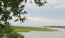 Biến tướng farmstay