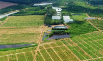 Dễ nếm “trái đắng” khi bỏ tiền vào trang trại nghỉ dưỡng