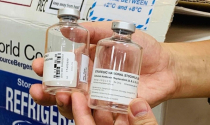 Vụ ngộ độc pate Minh Chay: WHO tài trợ khẩn cấp thuốc giải