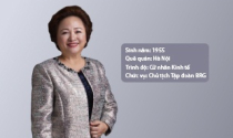 [Hồ sơ doanh nhân] Madame Nguyễn Thị Nga – Chủ tịch Tập đoàn BRG