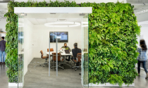 Những thay đổi hướng đến xu hướng "xanh hóa" không gian văn phòng