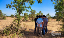 "Góp gió" ôm đất tiền tỉ