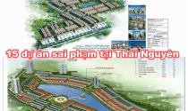 Thanh tra Chính phủ: Kosy Sông Công, Hồ Xương Rồng, HAVICO sử dụng đất không đúng quy định