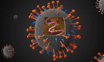 Cảnh báo nguy cơ đại dịch mới từ virus Nipah