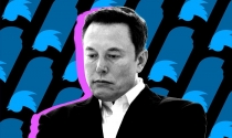 Elon Musk có nguy cơ mất vị trí người giàu nhất thế giới