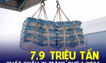 Thị trường xi măng quý đầu năm 2024 diễn biến ra sao?