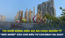 Khởi động lại dự án đã “đắp chiếu”, tài chính chủ đầu tư Cocobay Đà Nẵng ra sao?