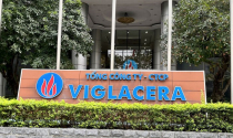 Viglacera lập công ty con vốn 600 tỷ, chưa công bố lĩnh vực kinh doanh