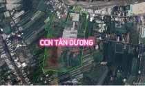 Công khai 6 công ty vi phạm luật đất đai tại Đồng Tháp