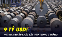 Doanh nghiệp Việt Nam chi 9 tỷ USD để nhập khẩu mặt hàng mà nước ta đang sản xuất nhiều