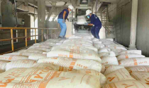 Công suất sản xuất hơn 120 triệu tấn/năm, 80 nhà máy xi măng cần phải làm ngay điều này