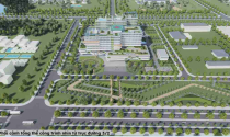 Bà Rịa – Vũng Tàu đấu giá khu đất gần 400 tỷ để xây bệnh viện đa khoa 400 giường