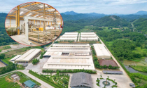 Thanh Hóa đưa nhà máy tre và gỗ quy mô lớn vào hoạt động, hàng nghìn người đón nhận cơ hội việc làm mới