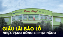 Sức khỏe tài chính của “ông lớn” ngành nhựa này ra sao mà phải “giấu lỗ” dẫn đến bị phạt?